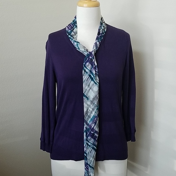 Sweaters - Purple V-Neck Sweater